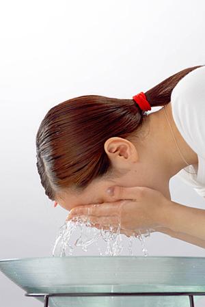 高麗人参の購入は是非原料問屋ゑびやで