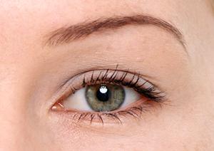 ネイルスクール選びの際に、気になる評価